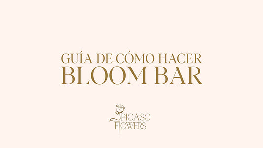 Guia Virtual de cómo replicar tu Bloom Bar
