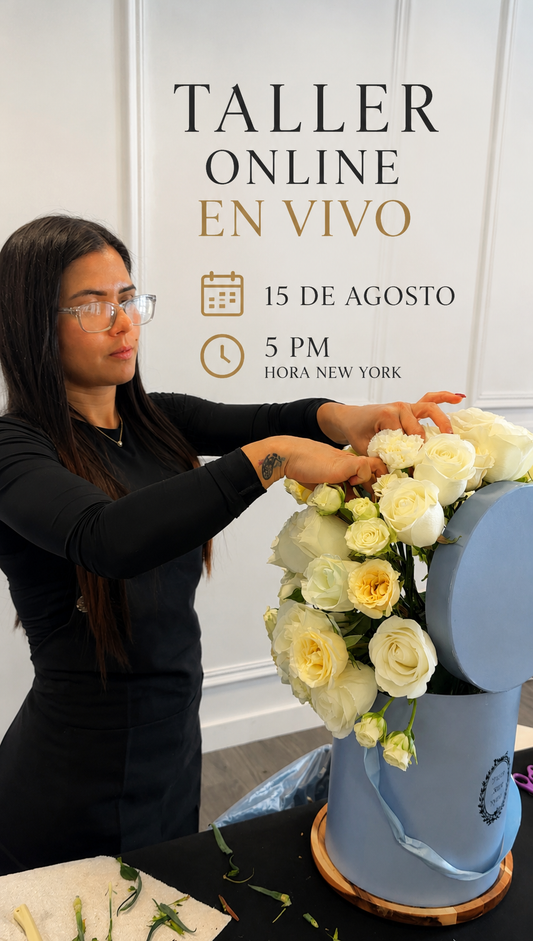 Clase online 15 agosto
